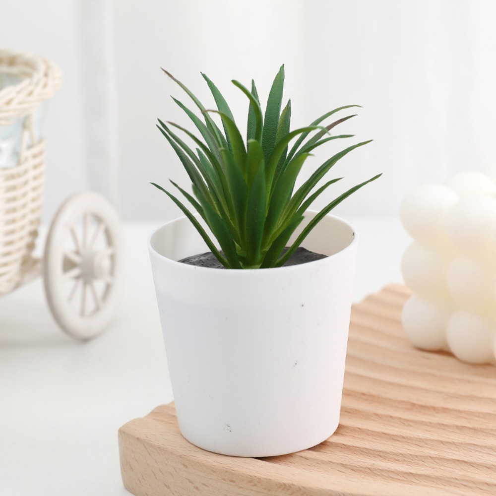 Plant Desk Mini - Cactus Succulent Kunstmatige Succulente Bonsai Bureau