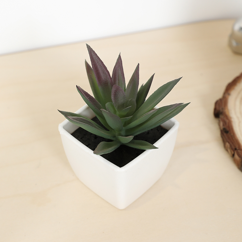 Plant Desk Mini - Mini Kunstmatige Succulente Fee Cup Kleine