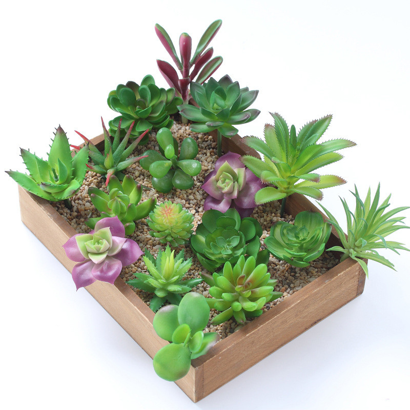 2021 Kunstmatige Vetplanten Pl - Plant Desk Mini recensie en prijs