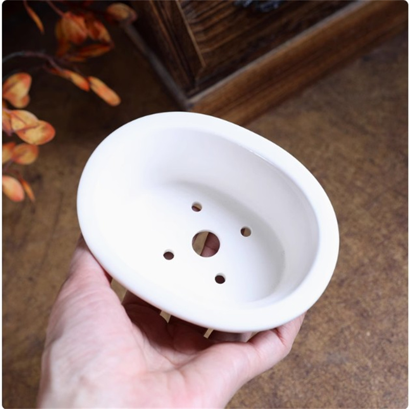 Porselein witte ovale bonsai p - Plant Desk Mini recensie en prijs