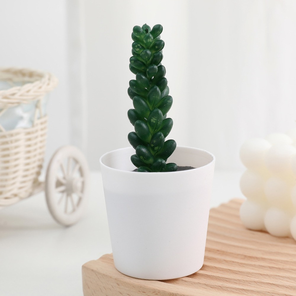 Cactus Succulent Kunstmatige S - Plant Desk Mini recensie en prijs