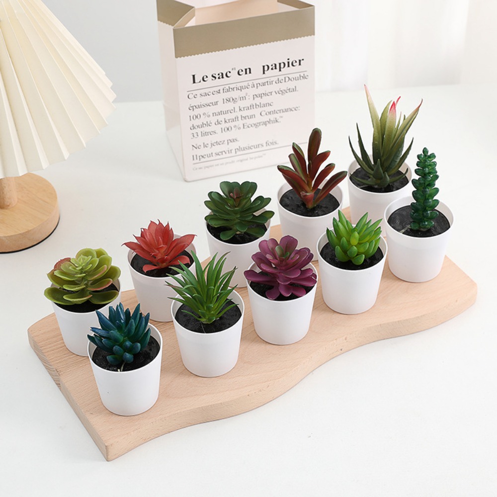 Cactus Succulent Kunstmatige S - Plant Desk Mini recensie en prijs