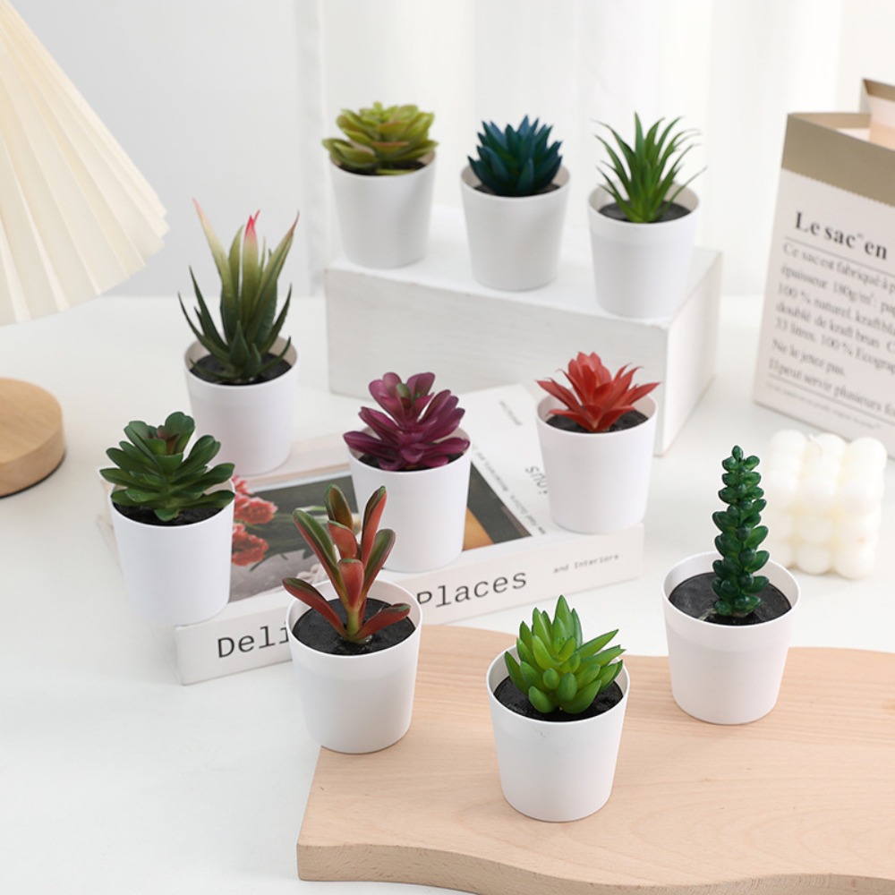 Cactus Succulent Kunstmatige S - Plant Desk Mini recensie en prijs