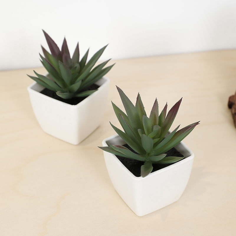 Mini Kunstmatige Succulente Fe - Plant Desk Mini recensie en prijs