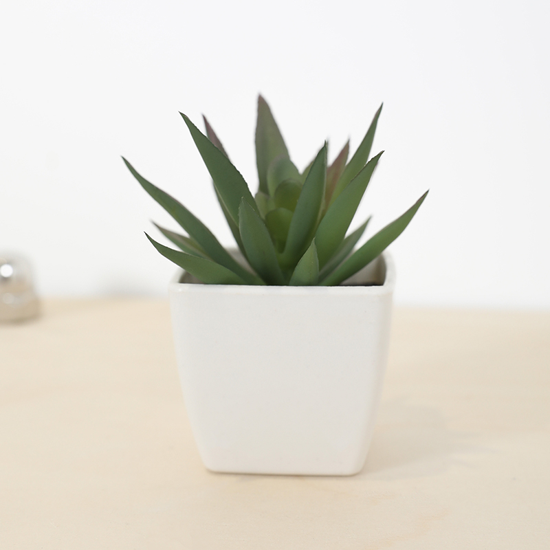 Mini Kunstmatige Succulente Fe - Plant Desk Mini recensie en prijs